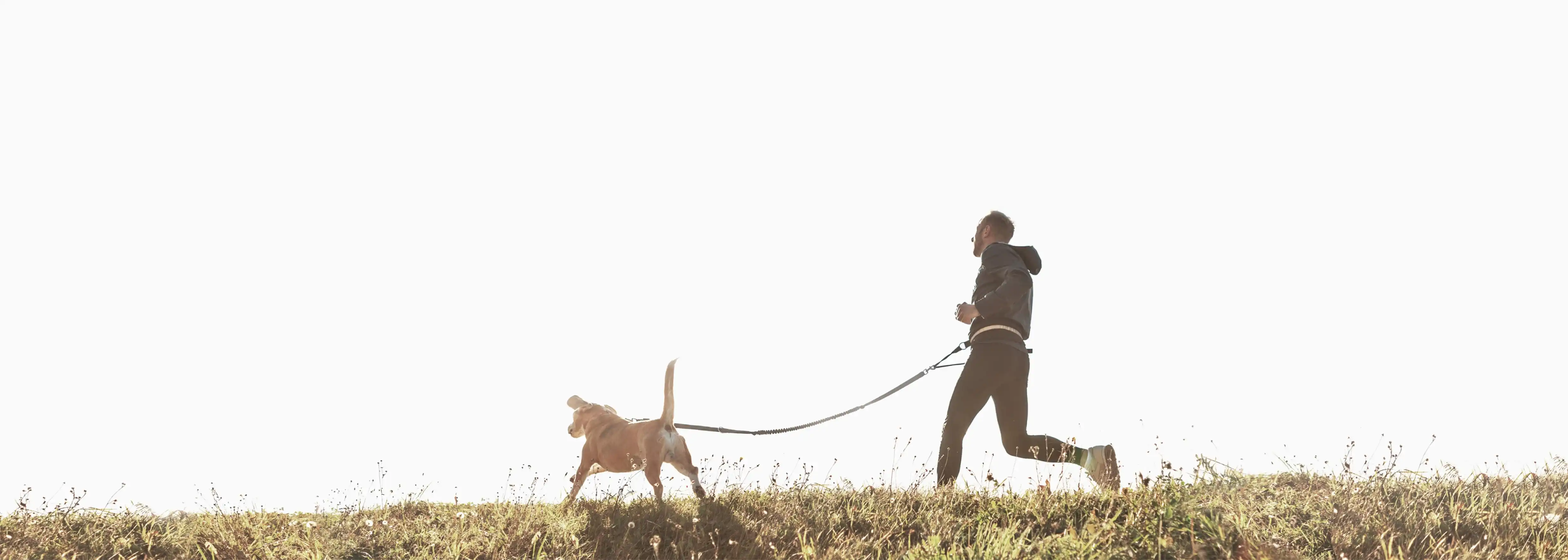 banner banner